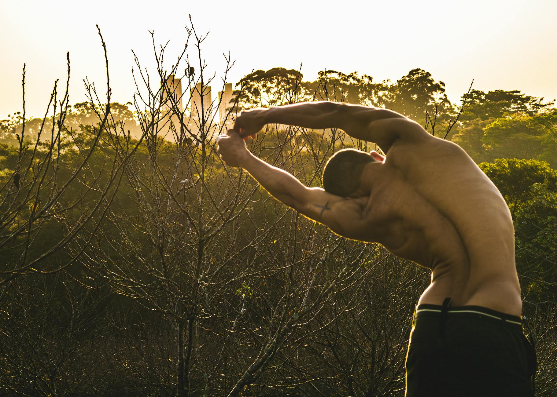 https://www.pexels.com/photo/back-view-of-a-shirtless-muscular-man-stretching-outside-26780688/